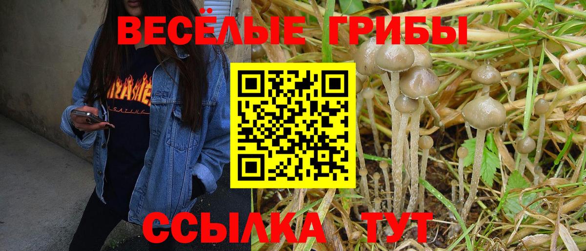 Псилоцибиновые грибы мухоморы Семилуки