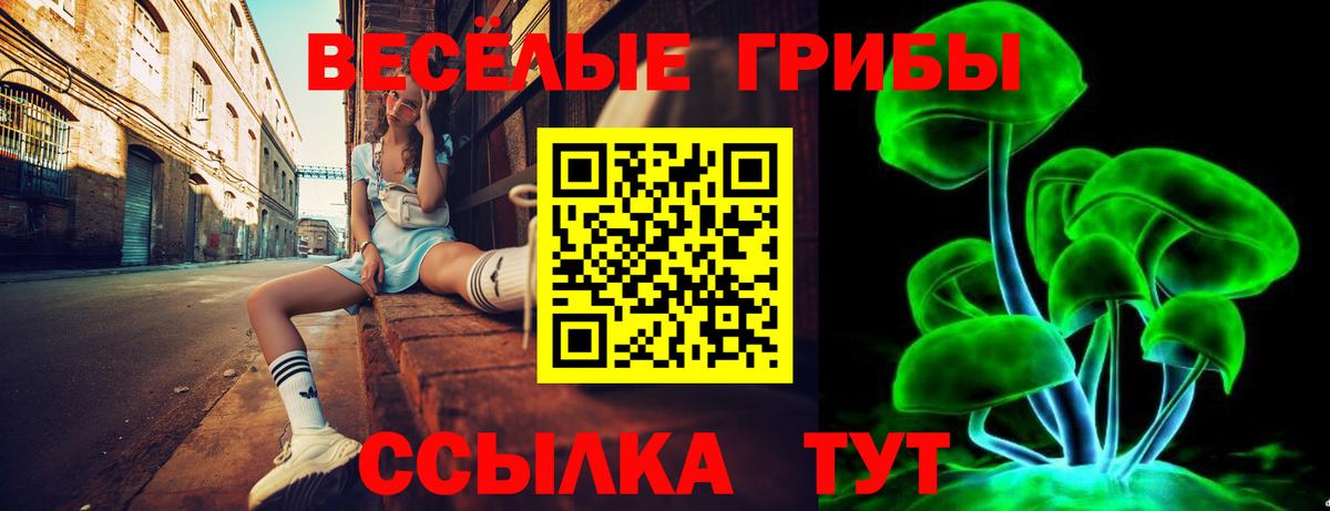 Галлюциногенные грибы MAGIC MUSHROOMS  цены наркотик  Семилуки  Галлюциногенные грибы MAGIC MUSHROOMS  Вход с VPN 